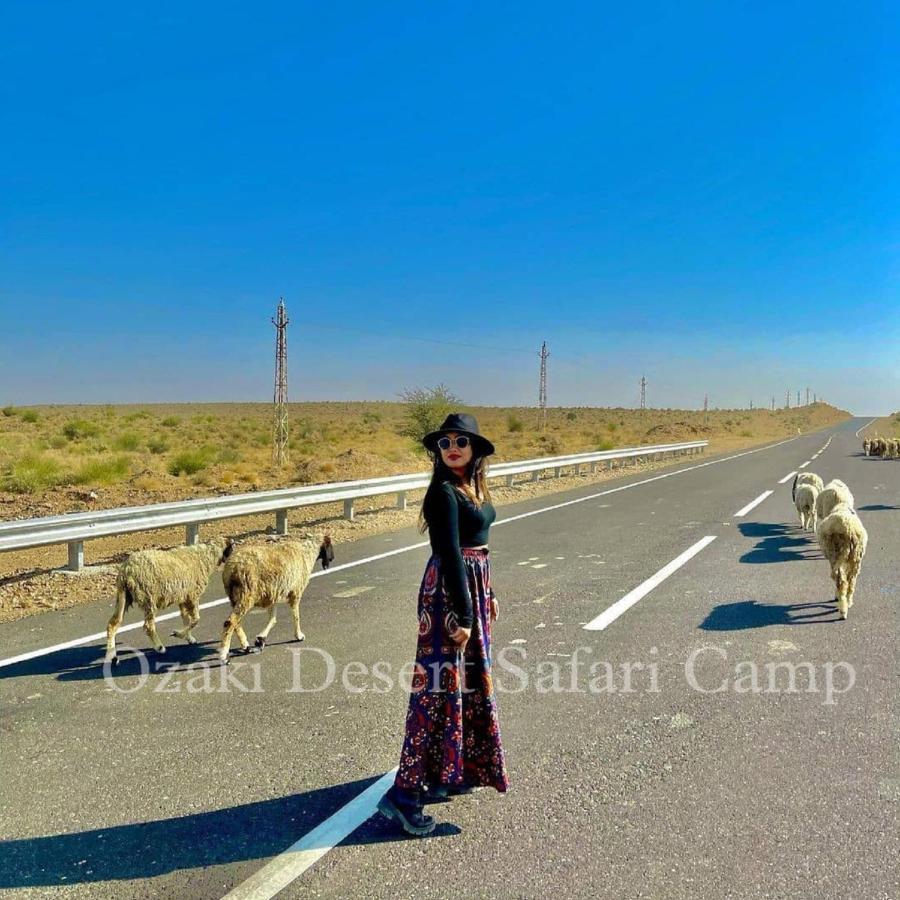 Ozaki Desert Camp & Resort Джайсалмер Экстерьер фото
